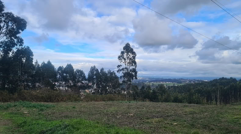 Lugo - Vilaboa - 14550m2