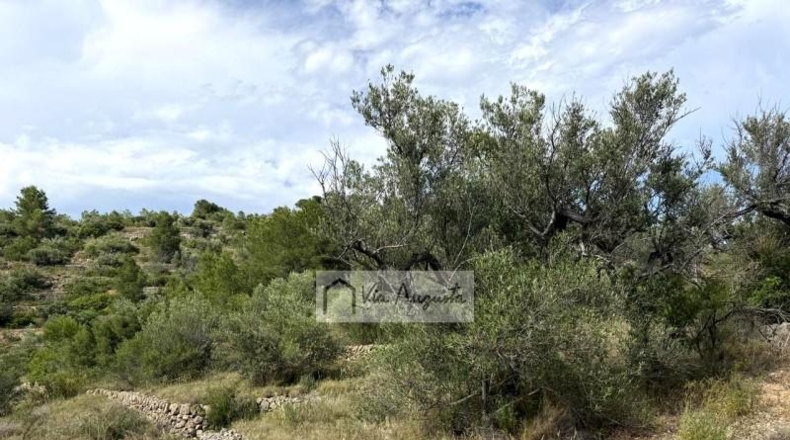 Tarragona - el Perelló - 7054m2