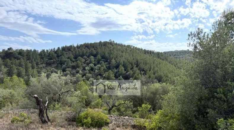 Tarragona - el Perelló - 7054m2