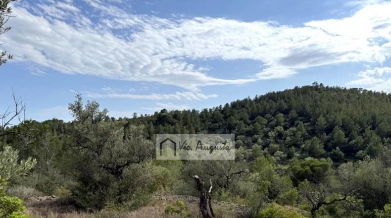Tarragona - el Perelló - 7054m2
