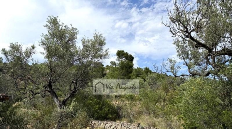 Tarragona - el Perelló - 7054m2