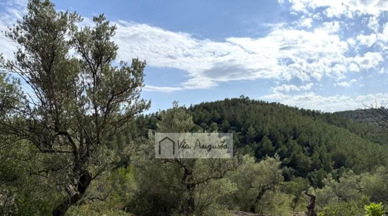 Tarragona - el Perelló - 7054m2