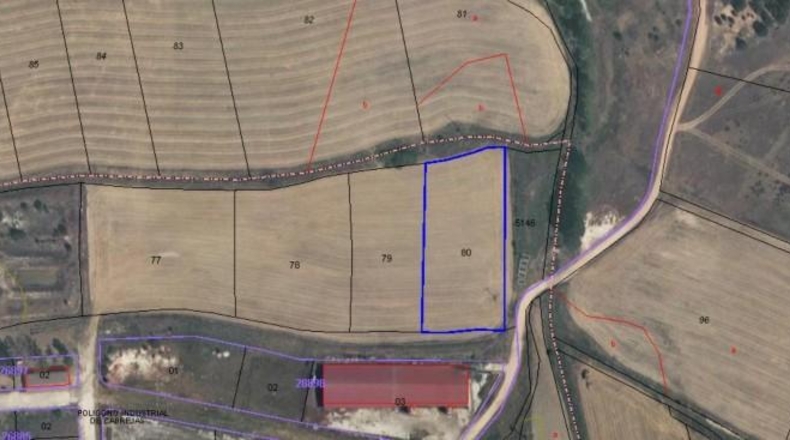 Soria - Cabrejas del Pinar - 3920m2