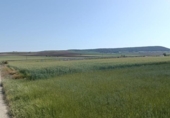 Terreno no urbanizable en venta en la España, Ibeas de Juarros, ref: TR414978 foto