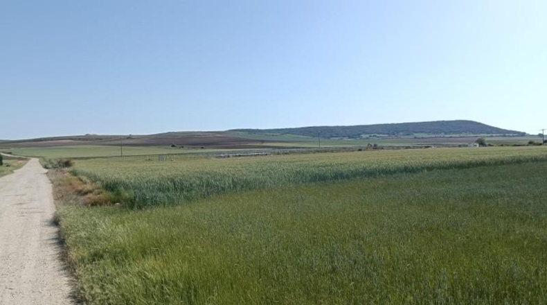 Burgos - Ibeas de Juarros - 4490m2