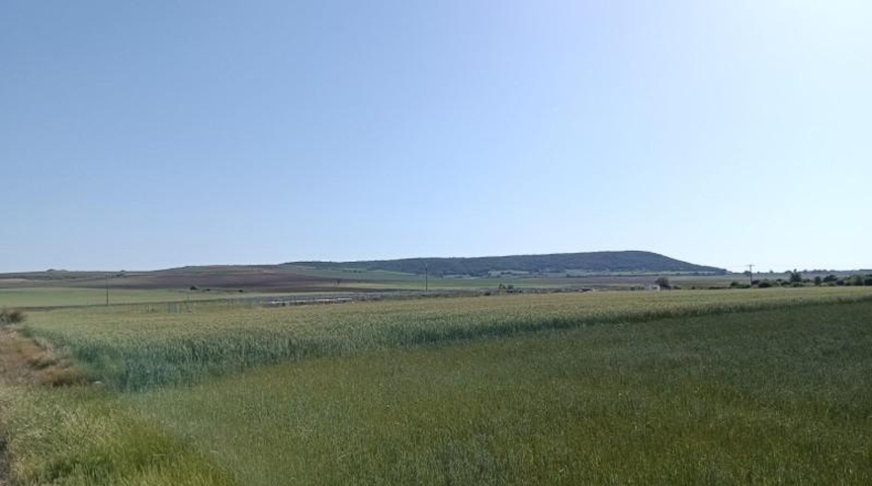 Burgos - Ibeas de Juarros - 4490m2