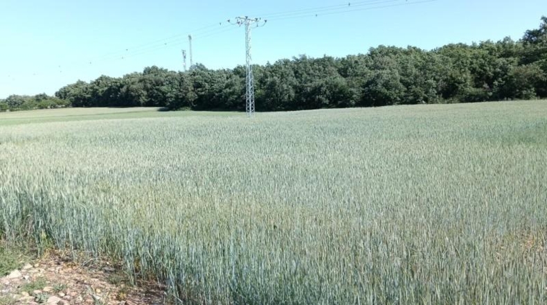 Burgos - Ibeas de Juarros - 4490m2