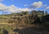 Terreno no urbanizable en venta en la España, Xàtiva, ref: TR320616 foto