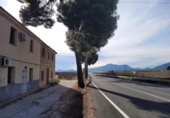 Casa de campo con terreno en venta en la España, Blanca, ref: TR399719 foto