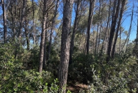 Foto 12