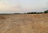 Terreno no urbanizable en venta en la España, Lucena, ref: TR340731 foto