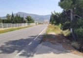 Terreno no urbanizable en venta en la España, Blanca, ref: TR405924 foto