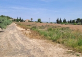 Terreno no urbanizable en venta en la España, Blanca, ref: TR405924 foto