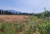 Terreno no urbanizable en venta en la España, Blanca, ref: TR405924 foto