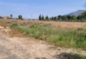 Terreno no urbanizable en venta en la España, Blanca, ref: TR405924 foto