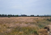 Terreno no urbanizable en venta en la España, Blanca, ref: TR405924 foto