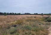 Terreno no urbanizable en venta en la España, Blanca, ref: TR405924 foto