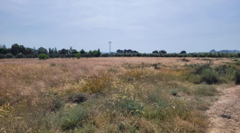 Murcia - Blanca - 7944m2