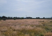 Terreno no urbanizable en venta en la España, Blanca, ref: TR405924 foto