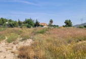 Terreno no urbanizable en venta en la España, Blanca, ref: TR405924 foto
