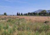 Terreno no urbanizable en venta en la España, Blanca, ref: TR405924 foto