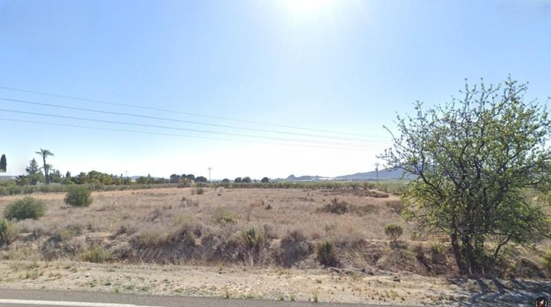 Murcia - Blanca - 7944m2