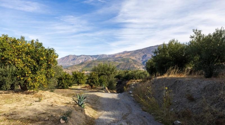 Гранада - Pinos del Valle - 3512m2