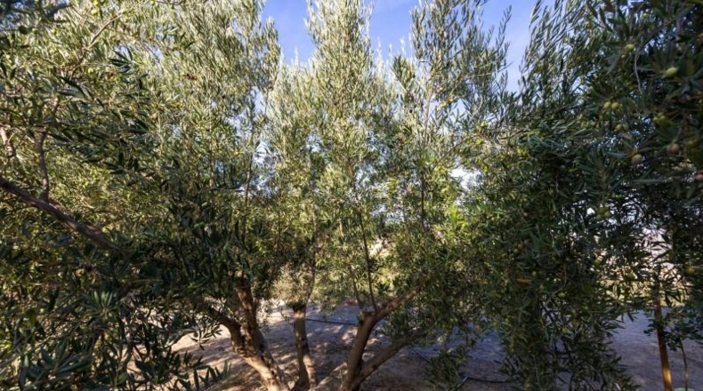 Гранада - Pinos del Valle - 3512m2