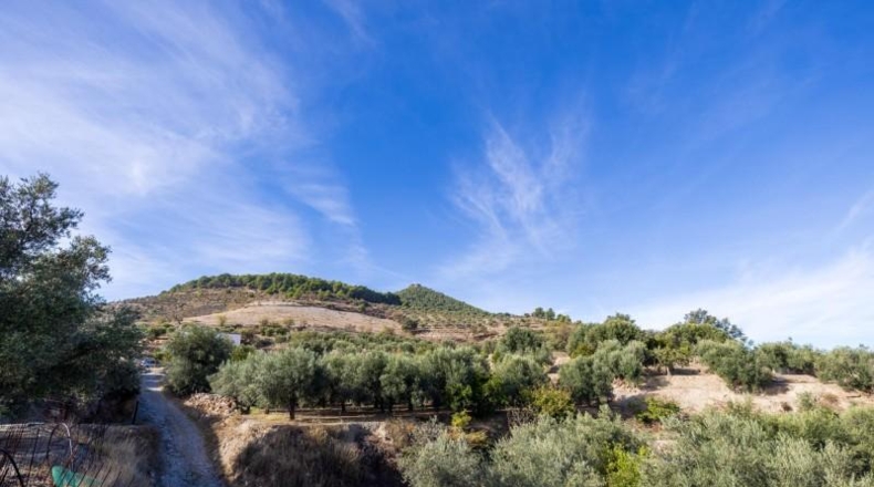 Гранада - Pinos del Valle - 3512m2
