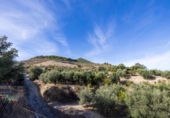 Terreno no urbanizable en venta en la España, Pinos del Valle, ref: TR414989 foto