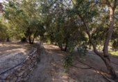 Terreno no urbanizable en venta en la España, Pinos del Valle, ref: TR414989 foto