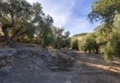 Terreno no urbanizable en venta en la España, Pinos del Valle, ref: TR414989 foto