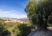 Terreno no urbanizable en venta en la España, Pinos del Valle, ref: TR414989 foto
