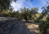 Terreno no urbanizable en venta en la España, Pinos del Valle, ref: TR414989 foto