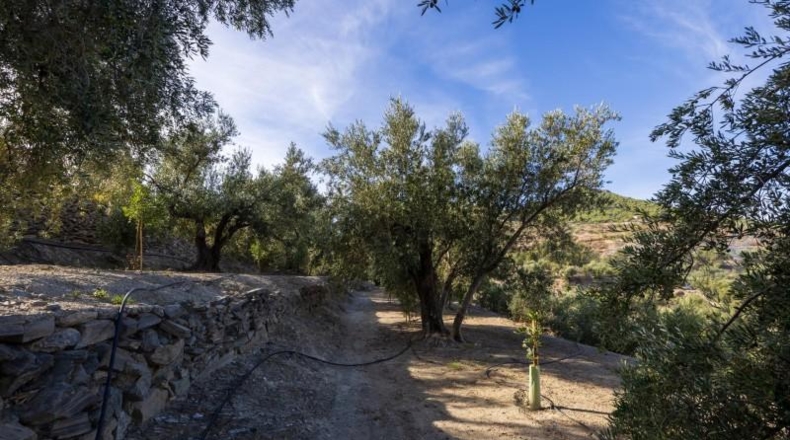 Гранада - Pinos del Valle - 3512m2