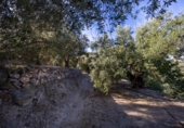 Terreno no urbanizable en venta en la España, Pinos del Valle, ref: TR414989 foto