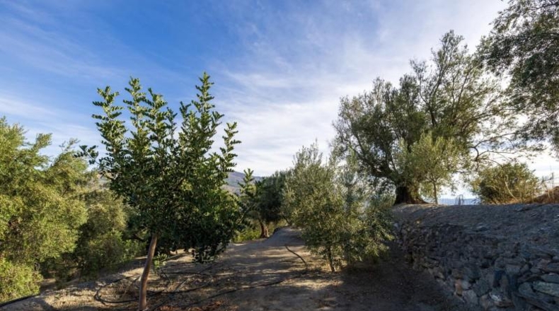 Гранада - Pinos del Valle - 3512m2