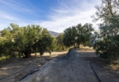 Terreno no urbanizable en venta en la España, Pinos del Valle, ref: TR414989 foto