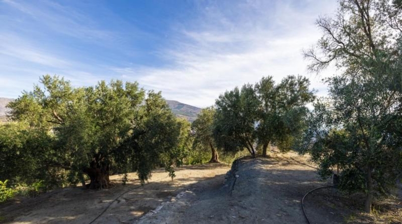 Гранада - Pinos del Valle - 3512m2