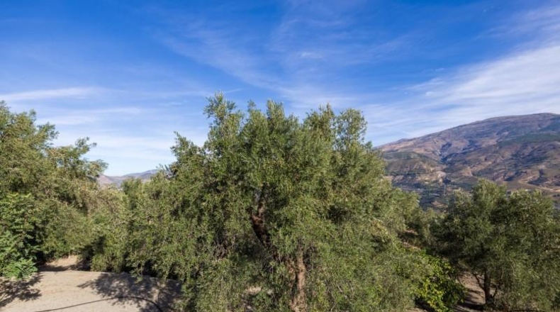 Гранада - Pinos del Valle - 3512m2