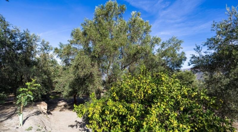 Гранада - Pinos del Valle - 3512m2