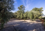 Terreno no urbanizable en venta en la España, Pinos del Valle, ref: TR414989 foto