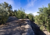 Terreno no urbanizable en venta en la España, Pinos del Valle, ref: TR414989 foto