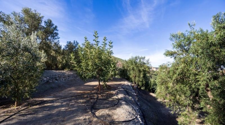 Гранада - Pinos del Valle - 3512m2
