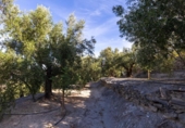 Terreno no urbanizable en venta en la España, Pinos del Valle, ref: TR414989 foto