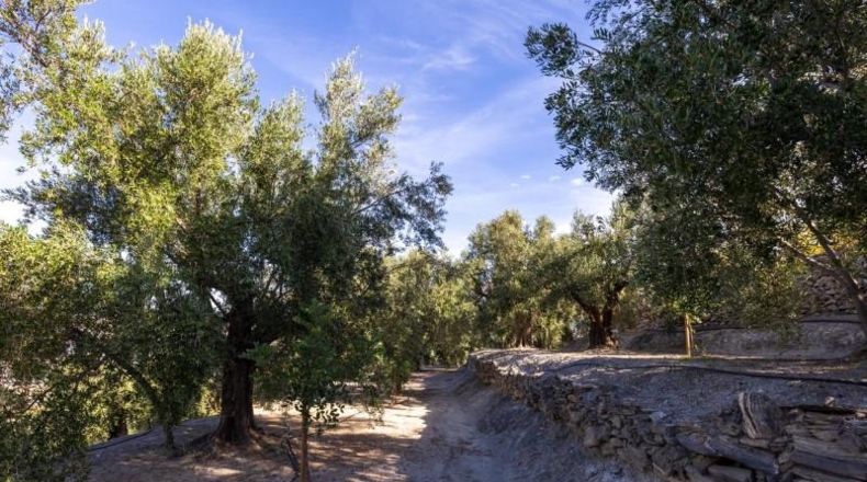 Гранада - Pinos del Valle - 3512m2