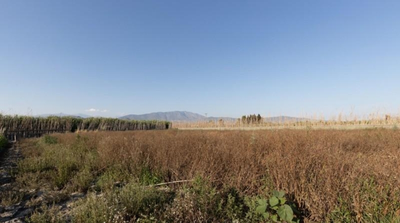 Гранада - Motril - 2953m2