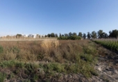 Parcela urbanizable en venta en la España, Motril, ref: TR414993 foto