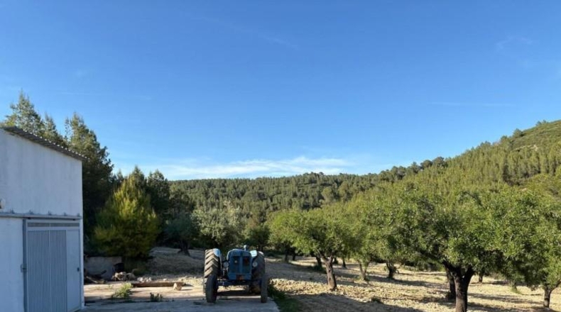 València - Chelva - 32485m2