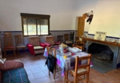 Chalet independiente con terreno en venta en la España, Chelva, ref: TR414999 foto